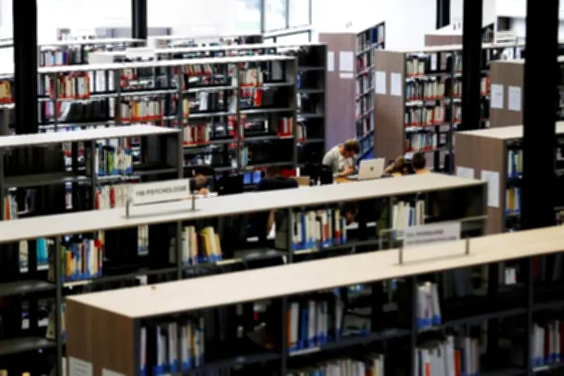 Mon Master : universités cherchent parade face aux dossiers falsifiés