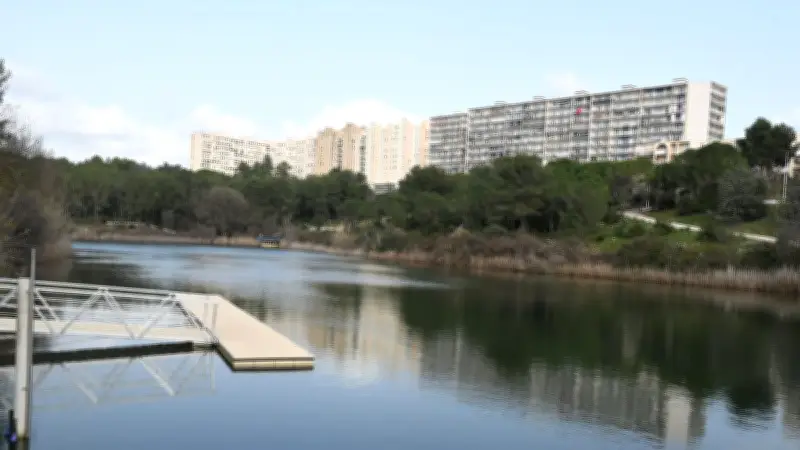 Montpellier : deux hommes échappent de justesse à une exécution au bord d'un lac