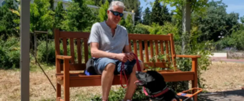 À Montpellier, Richard et son chien guide Thorus, un duo inséparable