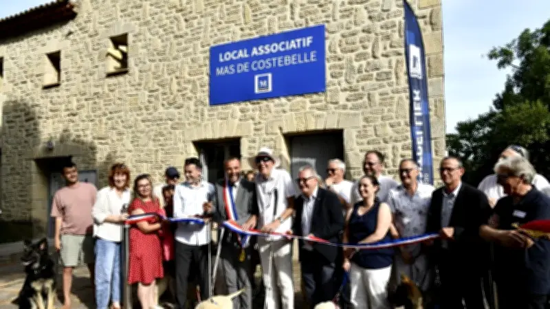 Montpellier : une école de chiens guides forme en immersion urbaine