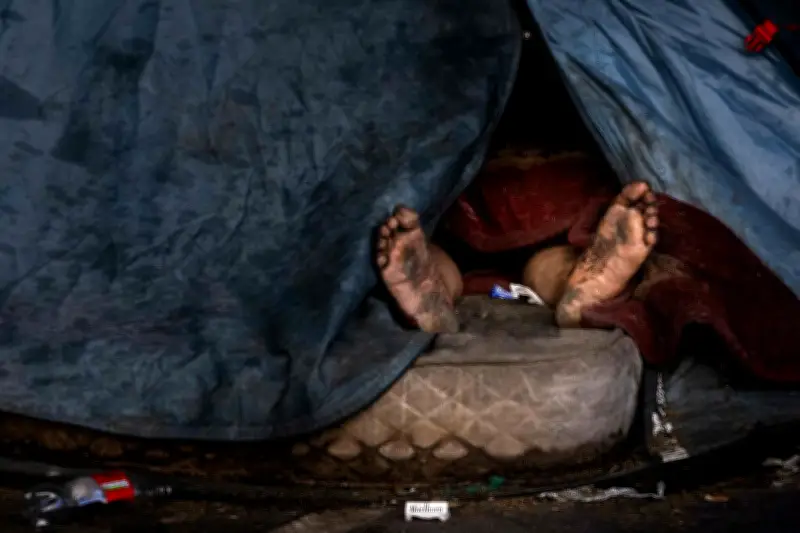 Morts de la rue : 929 sans-abri décédés en 2025, un cri d'alarme