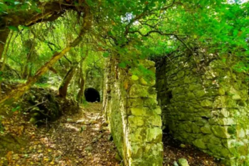 Nice : les Ferres restaurent leur sentier historique Saint-Pierre