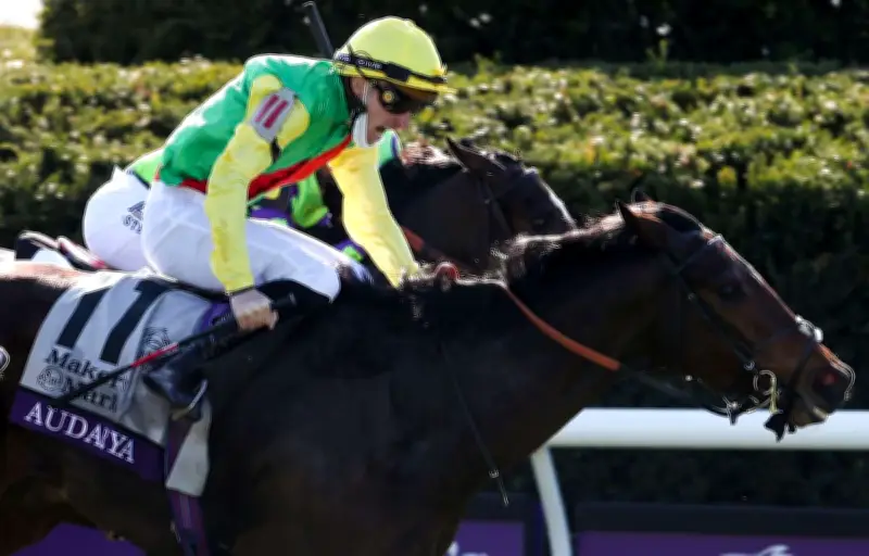 Non-lieu pour le jockey Pierre-Charles Boudot accusé de viol