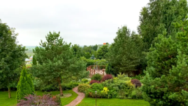 Nouveau-né enterré dans un jardin en Vendée : les parents en garde à vue