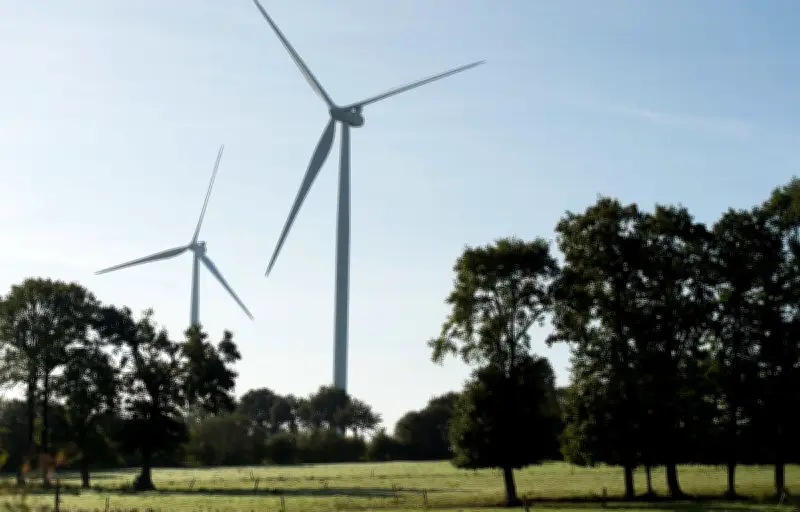 Éoliennes citoyennes : rentabilité et sens pour les investisseurs locaux