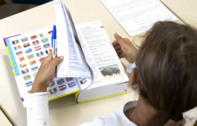 Orthographe : vos pires cauchemars linguistiques dévoilés