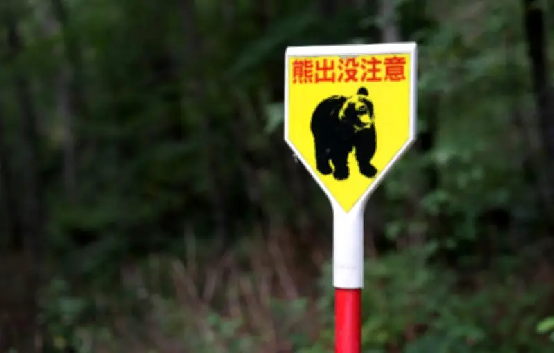 Ours errant au Japon : 94 écoles fermées à Utsunomiya