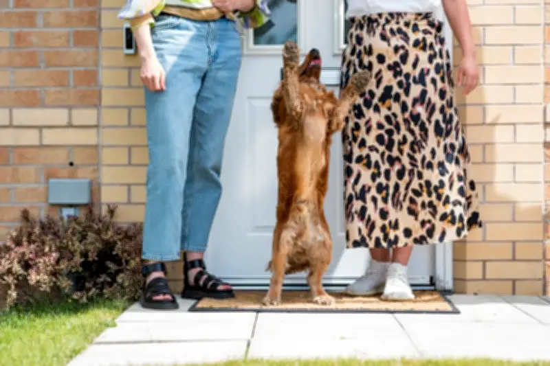 Pas de honte à considérer son animal comme un enfant