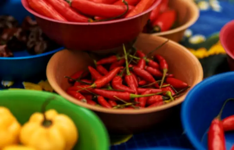 Piment : bienfaits nutritionnels, capsaïcine et précautions d'usage