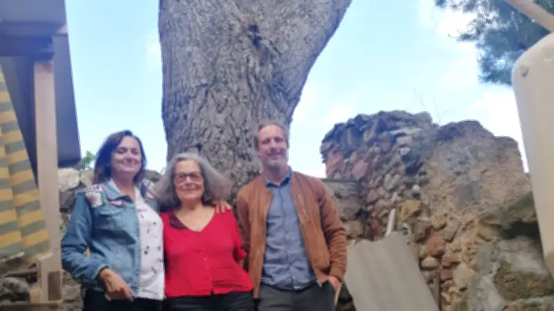Pin d'Alep protégé 99 ans par ORE dans l'Hérault