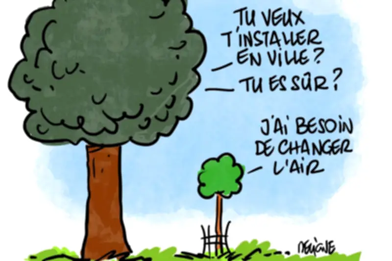 Planter des arbres en ville : un geste technique et politique