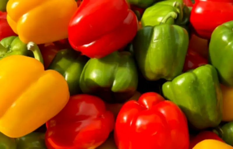 Poivron : un légume coloré aux nombreux bienfaits nutritionnels
