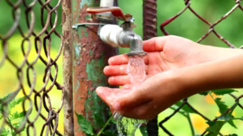 Pollution de l'eau potable : des médecins alertent sur une menace systémique