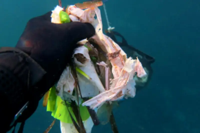 Polémique sur les filets antipollution à Antibes : le conflit perdure