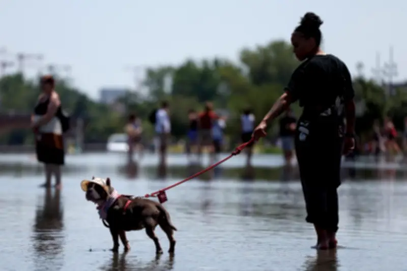 Pourquoi le terme « canicule » est sexiste et problématique