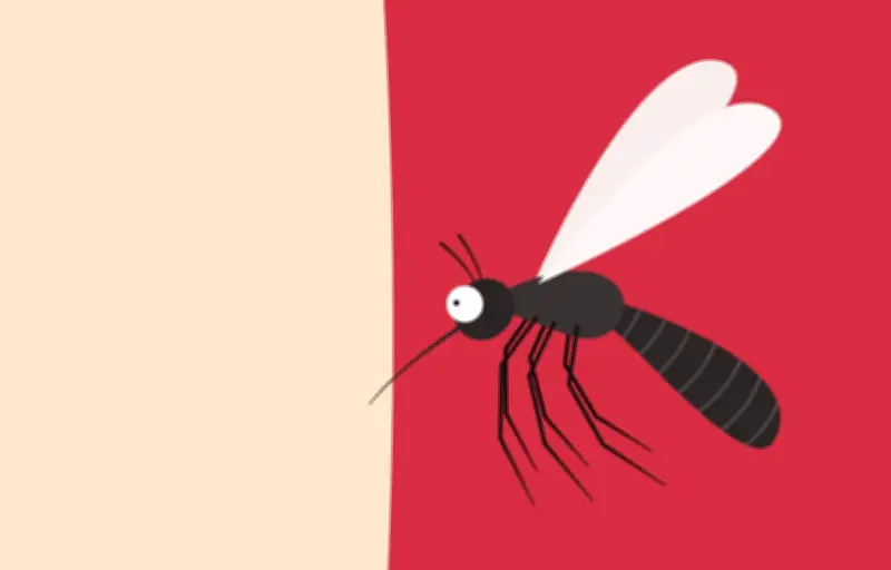Pourquoi les moustiques vous piquent-ils plus que d'autres ?