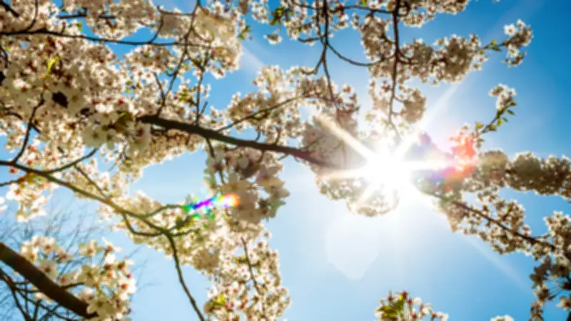Printemps 2026 : le plus chaud en France depuis 1900