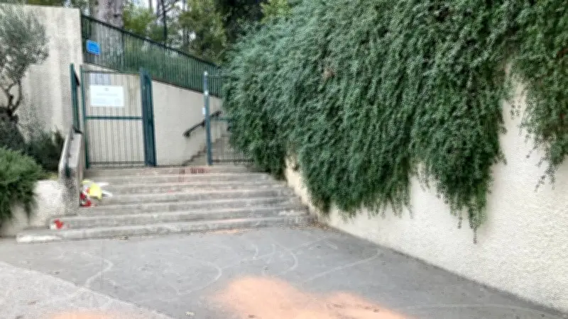 Profil psychologique inquiétant au procès du meurtre du parc Sainte-Odile