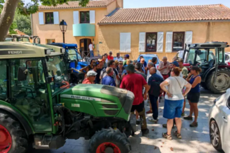 Projet de déviation au Beausset : des vignerons de l'AOC Bandol inquiets pour leurs vignes