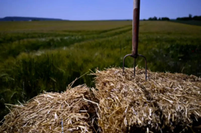 Projet de loi agricole : eau, pesticides, loups, les mesures clés