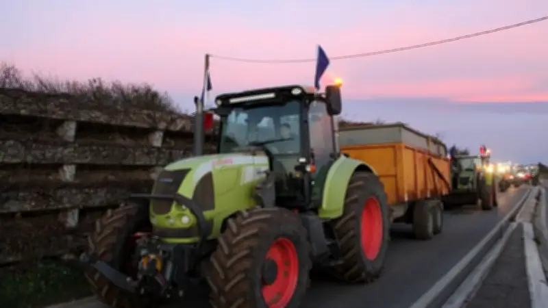 Projet de loi agricole : pesticides, eau, loups, ce qui pourrait changer
