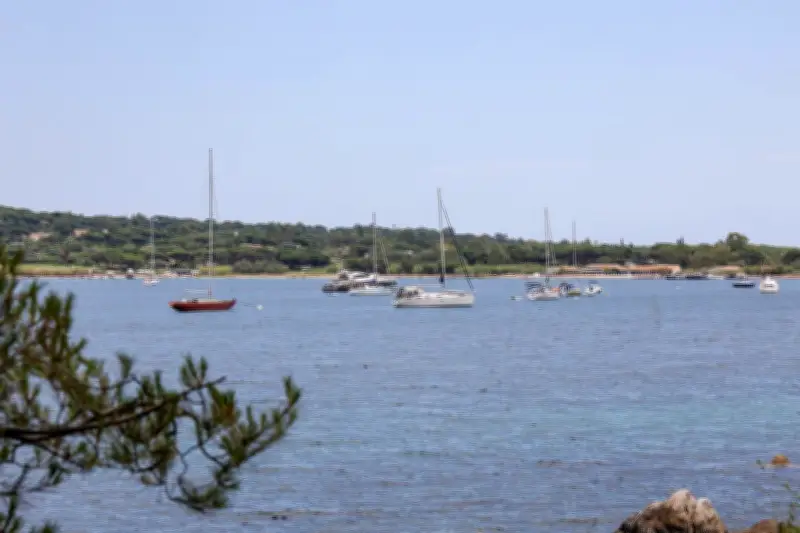 Projet de mouillages à Saint-Tropez : entre écologie et craintes de privatisation