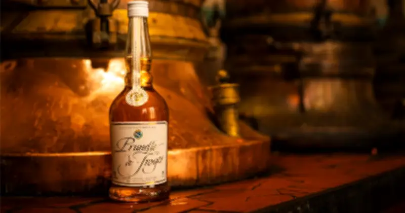 Prunelle de Troyes : une liqueur historique née dans un cellier médiéval