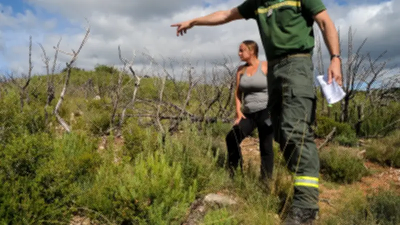 Quatre ans après l'incendie d'Aumelas, la garrigue renaît