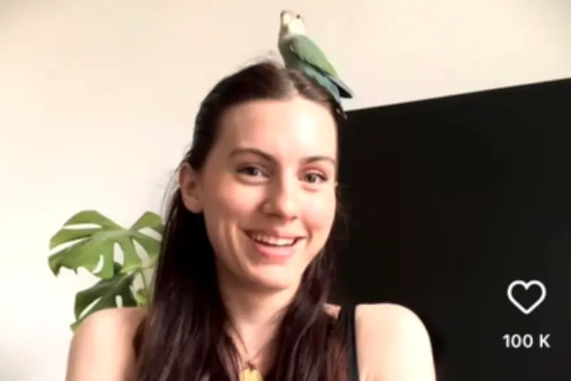 À qui appartient Mademoiselle Pimprenelle, l'inséparable qui squatte chez une instagrameuse niçoise ?
