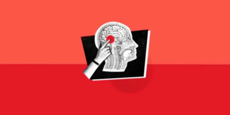 Quiz de français : Socrate est un chat, testez votre orthographe