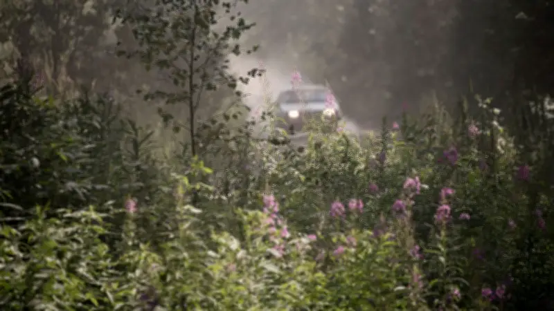 Rallye mortel dans la Vienne : un commissaire percuté par une voiture