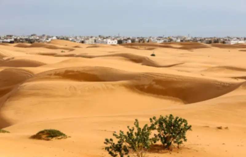 Record de chaleur en France : 38,2°C mardi, 0,8% du globe plus chaud
