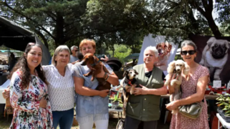 Refuge Au Bonheur des 4 Pattes alerte sur les abandons d'animaux cet été