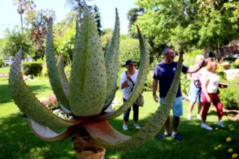 Rendez-vous aux jardins à Fréjus : visites gratuites sur le thème de la vue