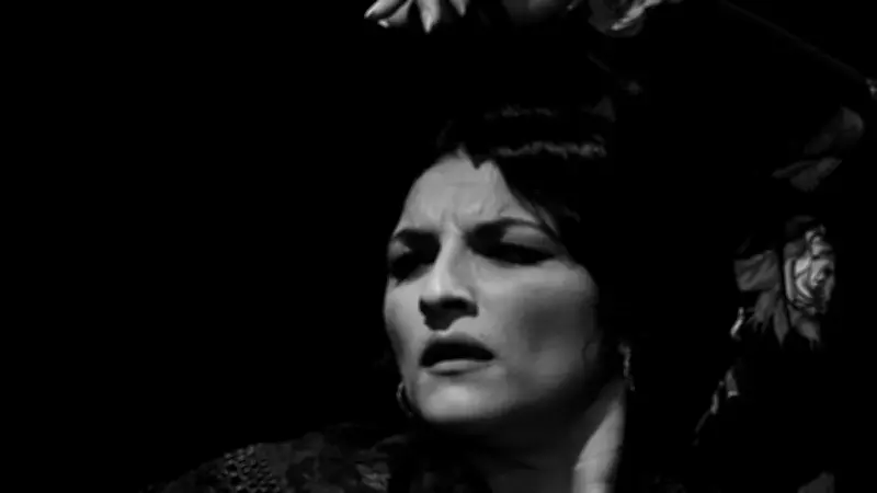 Romería del Encuentro : trois spectacles de flamenco à Mauguio-Carnon