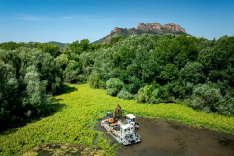 Roquebrune-sur-Argens lutte contre la jussie rampante au lac de l'Arena