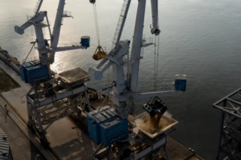 Roumanie : un drone maritime explose dans le port de Constanta