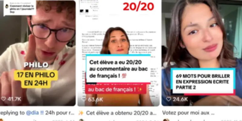 Révisions du bac sur TikTok et Instagram : l'aide de dernière minute des jeunes