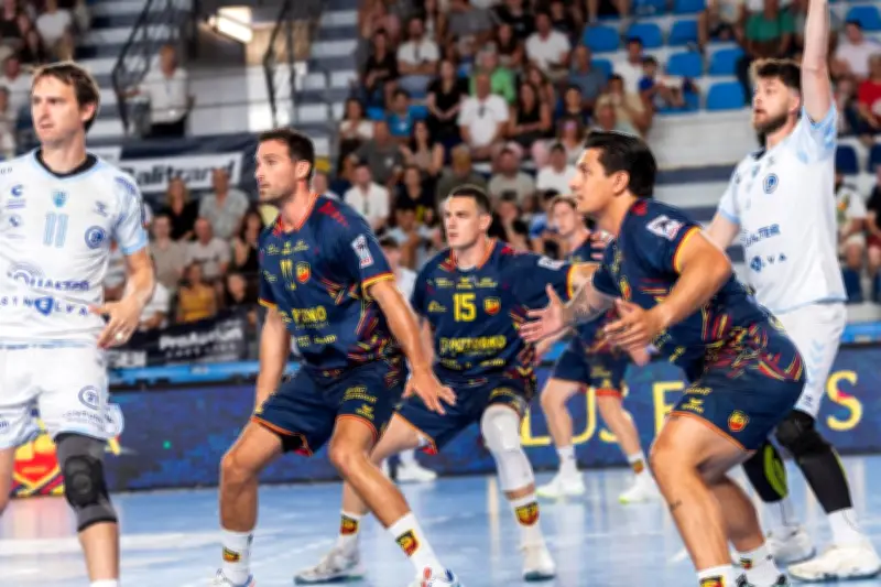 Saint-Raphaël Var Handball : une demande de wild-card pour la Ligue européenne