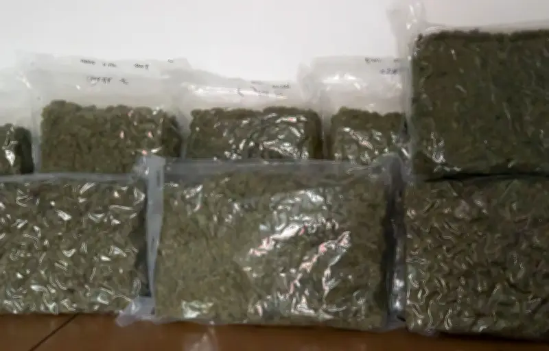 Saisie record de cannabis en Essonne : plus d'une tonne de résine