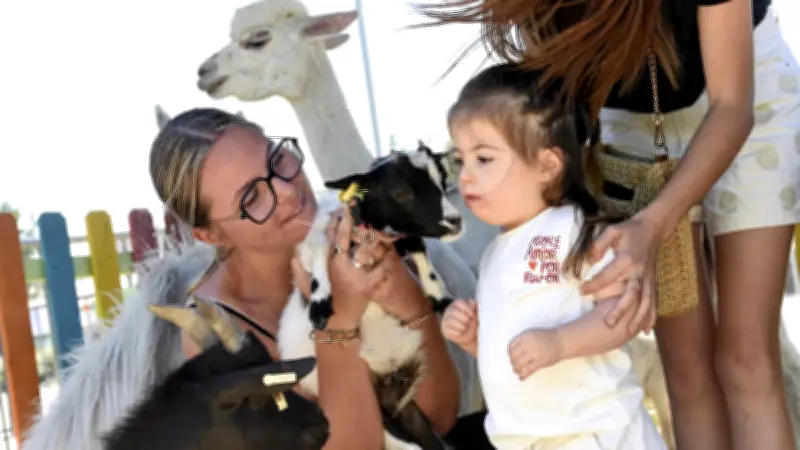 Salon des agricultures méditerranéennes : vaches, brebis, chiens de berger, le bonheur est dans le pré