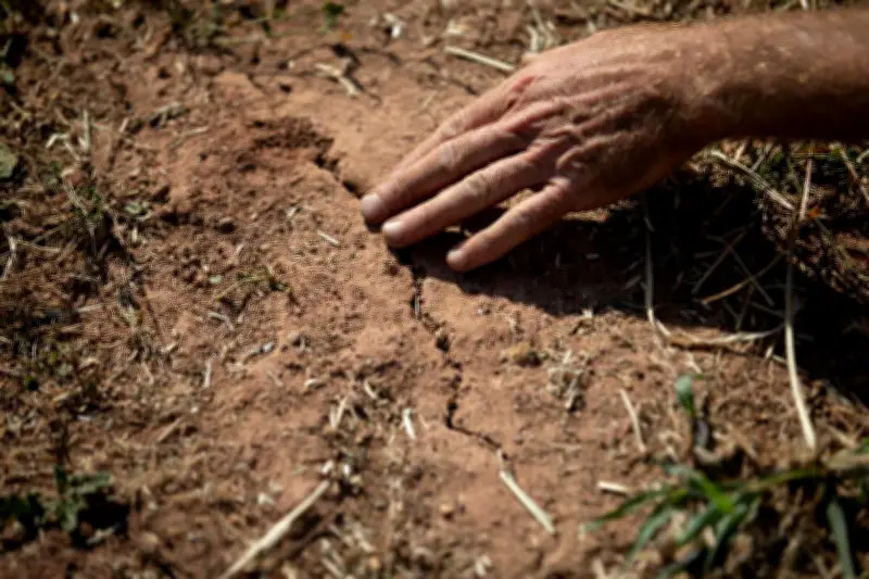 Sécheresse 2025 : près de la moitié des dégâts assurés par les catastrophes naturelles