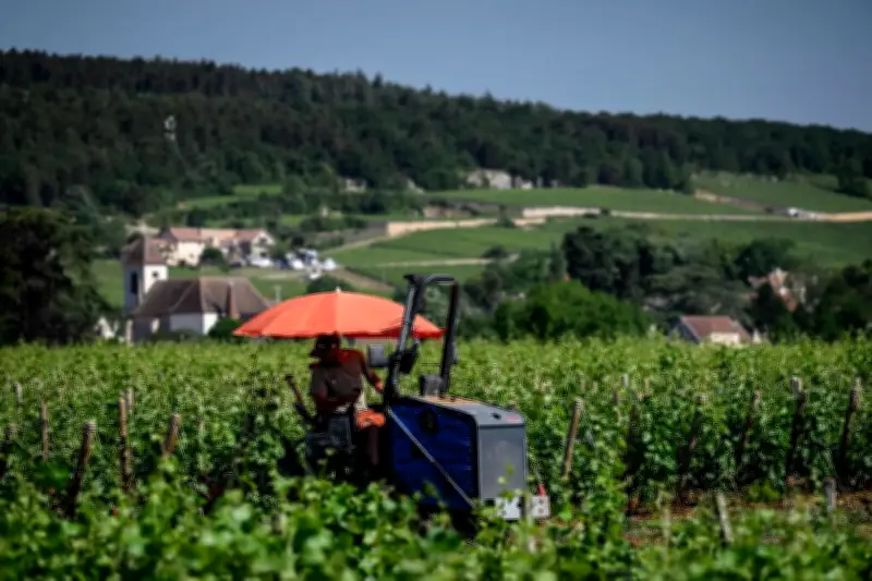 Sécheresse des sols : pics de chaleur printaniers inquiètent pour l'été
