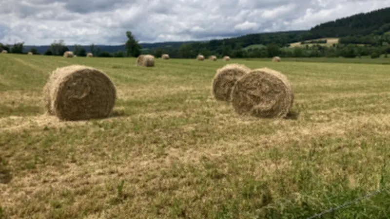 Sécheresse en Lozère : tous les bassins-versants en vigilance