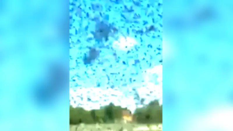 Sibérie: des millions de moustiques envahissent un lac, touristes barricadés