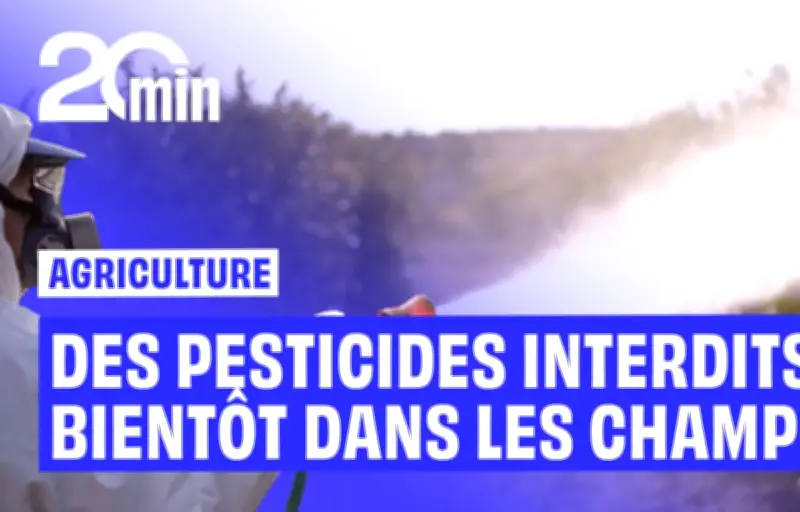 Sénat vote la réintroduction dérogatoire de deux pesticides interdits