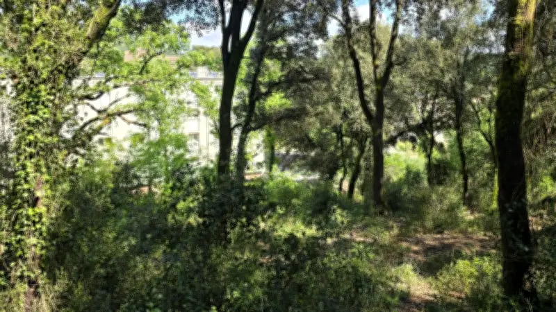 Soirée nature : découverte de la biodiversité forestière aux Fonzeaux