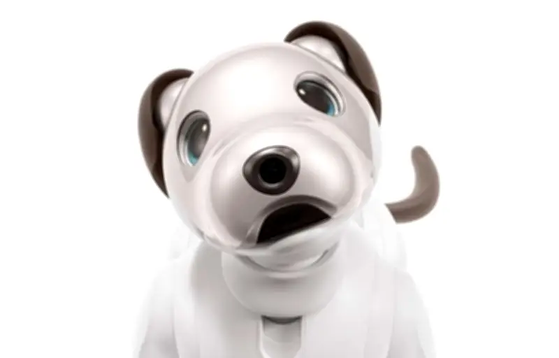 Sony enterre Aibo, son chien robot, après huit ans de service