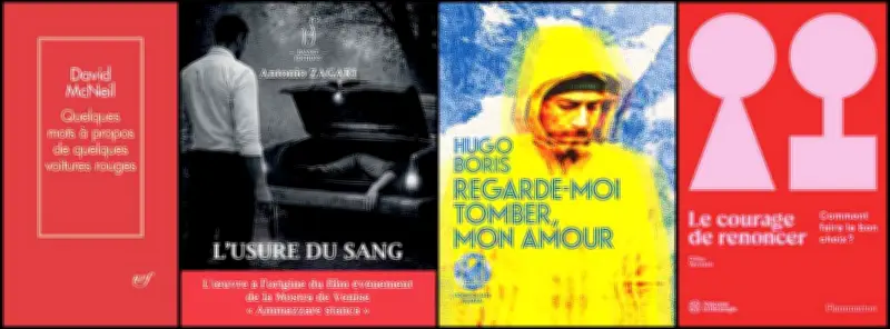 Sortie librairies : McNeil, Boris, Vervisch, trois romans à découvrir