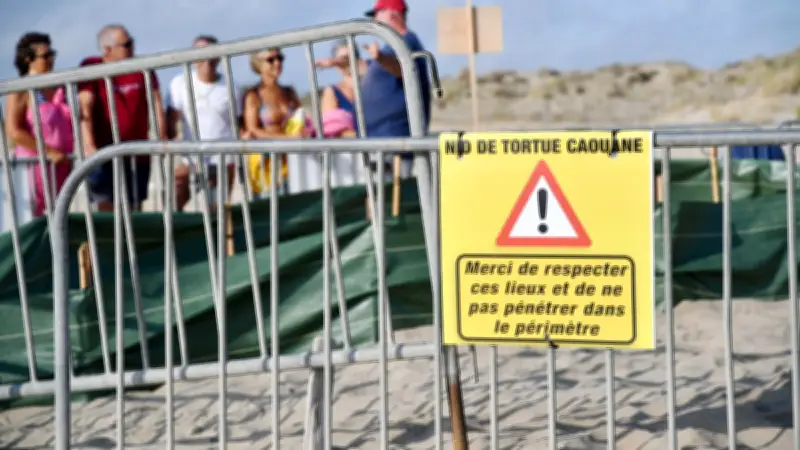 Sète : début de la saison de ponte des tortues, consignes à respecter
